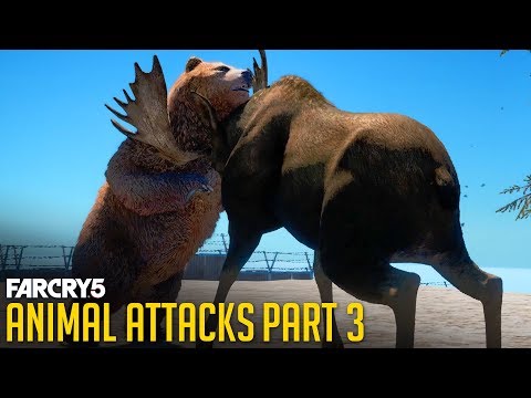 All Animal Attacks on Grizzly Bear (Animal Attacks Part 3) Animals VS Bears – FAR CRY 5