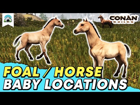All Foal Locations: Where to find Horses – 2022 Guide | Conan Exiles