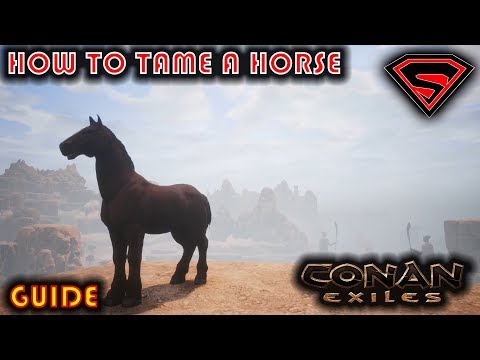 CONAN EXILES HOW TO TAME A HORSE – WHERE TO FIND FOALS & EVERYTHING YOU NEED TO KNOW