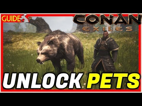 CONAN EXILES UNLOCK PETS EASY! HOW TO USE THE PENS! FOODS EXPLAINED