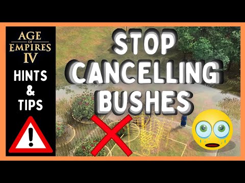 DON'T DO THIS! | How to STOP Cancelling  Berries | Age of Empires 4
