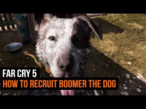 Far Cry 5 – How To Recruit Boomer The Dog