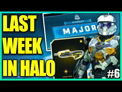 Halo Infinite Changes Coming! Falcon Returns? Plant Physics Ruin Halo Infinite! Halo News
