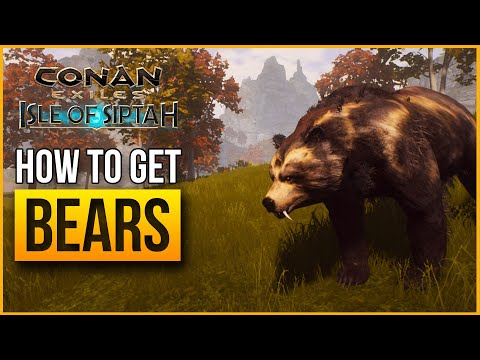 How to get Bears – Isle of Siptah | Conan Exiles