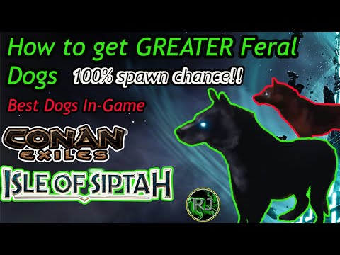 How to get NAMED GREATER FERAL DOG 100% spawn  Conan Exiles Isle of Siptah
