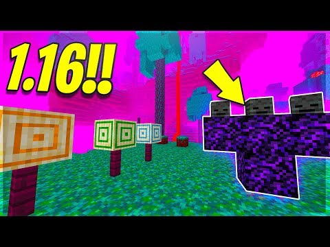 I NUOVI BLOCCHI STRANI DELLA 1.16! – Minecraft ITA 1.16