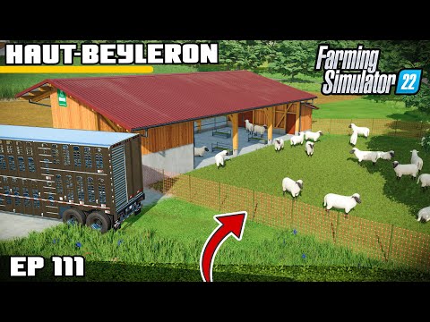 MEGA SHEEP UPGRADE | Farming Simulator 22 – Haut-Beyleron | Episode 111