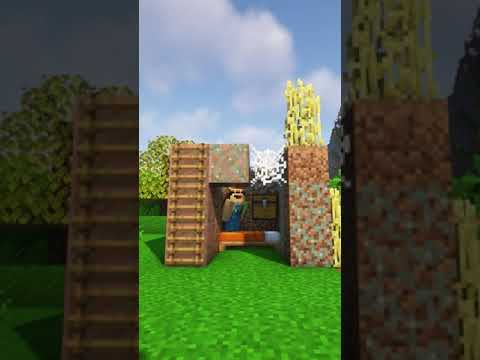 Minecraft Most Pagal Noob| #shorts