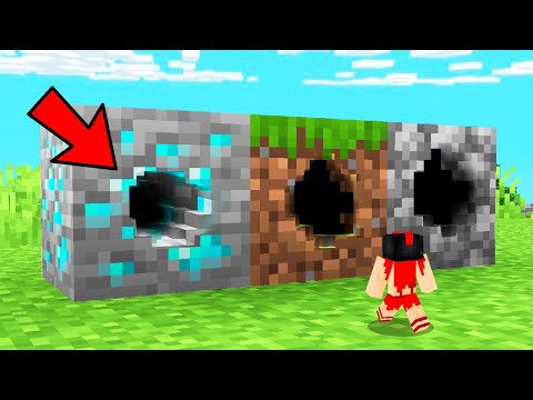 Minecraft PERO podemos ENTRAR DENTRO de CUALQUIER BLOQUE 😂😱 INVICTOR y los COMPAS