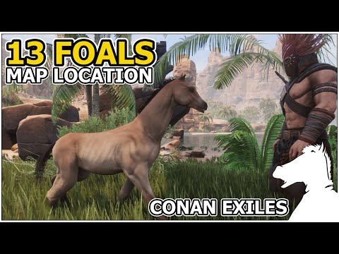 13 Foals Map Locations | CONAN EXILES