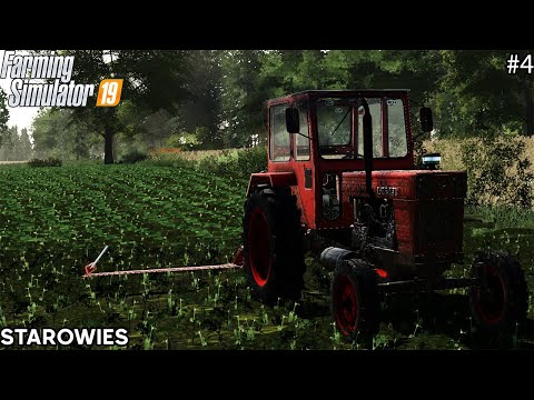 AM COSIT LUCERNA SI AM TRACTAT UN ARO|Farming Simulator 19 STROWIES