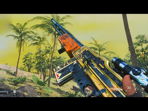Call of Duty: Warzone Solo Win Gameplay (No Commentary)