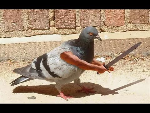 Conan Exiles ОДНА ЖИЗНЬ
