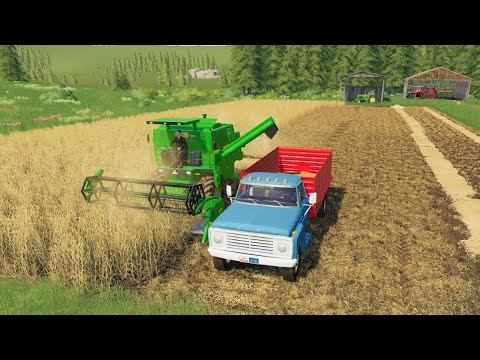 Harvesting wheat and cutting hay using old tractors | Farming simulator 19 | Back in my day