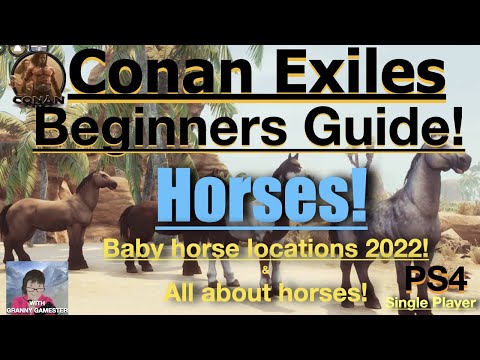 Horses! Conan Exiles Beginners Guide 2022