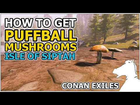 How to get Puffball Mushrooms | Isle of Siptah | CONAN EXILES