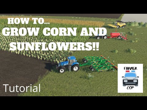 How To Grow Corn and Sunflowers in Farming Simulator 19!!