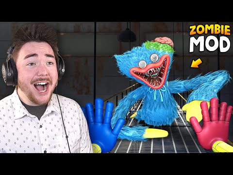 HUGGY WUGGY ZOMBIE MOD!!! | Poppy Playtime Gameplay (Mods)