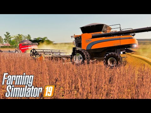 MONTAMOS A DUPLA INFALIVEL PRA COLHEITA || PORTO BARRINHA || FARMING SIMULATOR 19 || #154 G29