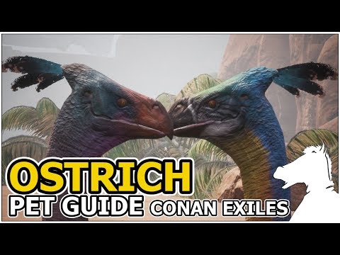 OSTRICH | Pets Guide | CONAN EXILES
