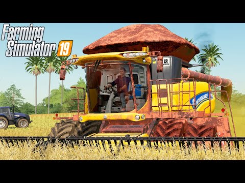 REFORÇANDO A COLHEITA DE CANOLA | Farming Simulator 19 | Fazendas Paraná T2 – Episódio 4