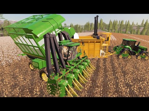 We will be rich harvesting cotton and corn | Suits to boots 16 | Farming Simulator 19