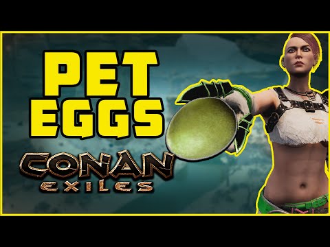 Where to Buy or Find Pet Eggs | Conan Exiles 2022
