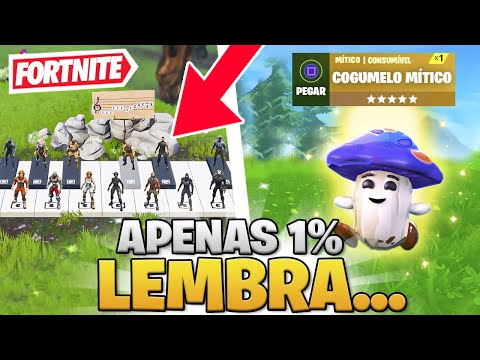 10 COISAS QUE VOCÊ *NÃO* LEMBRA DO FORTNITE…