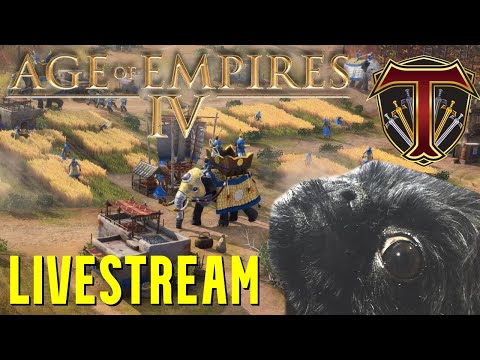 1v1 Practice Stream & RANKED | Age of Empires 4 Multiplayer Stream