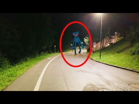 5 AVVISTAMENTI di HUGGY WUGGY nella VITA REALE