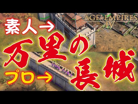 Age of Empires 4 真の万里の長城を築く猛者現る! 中国 3vs3 AoE4 エイジオブエンパイア4 IV