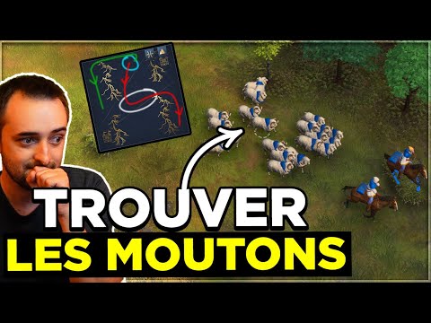 Age of Empires 4 – LES MOUTONS : Meilleurs TRAJETS pour les TROUVER ! #1