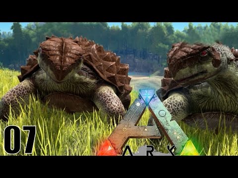 COMBAT DE DINOSAURES ! | ARK: Survival Evolved ! #Ep7