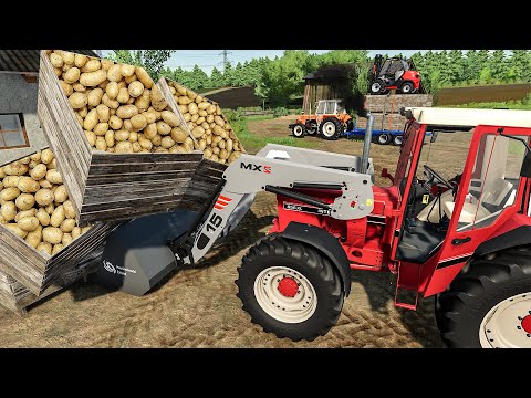 Crate potatoes ! Small tractors and Forklift loader | Farm work | Farming Simulator 22