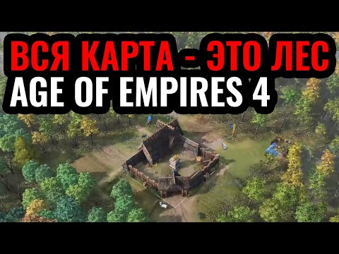 ВСЯ КАРТА – ЭТО ЛЕС в Age of Empires 4. Легендарная карта Forest Nothing в новой игре