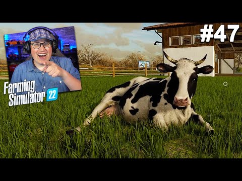 EERSTE KEER CGR MIXEN VOOR KOEIEN! // Farming Simulator 22 #47 (Nederlands)
