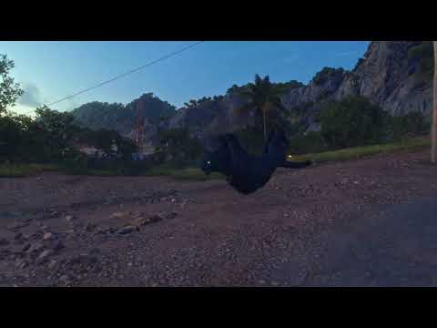 Far Cry 6 What's wrong with the cat?