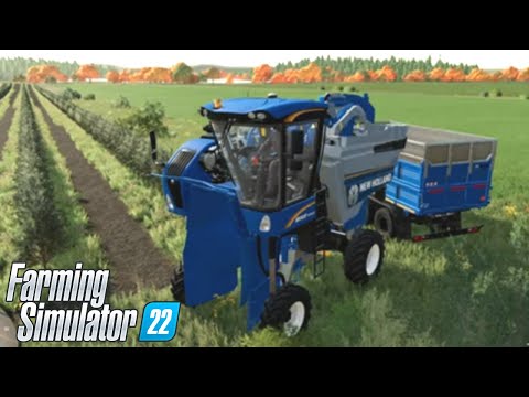 FS 22 HOBO'S HOLLOW #74 – OLIVE PRONTE PER LA RACCOLTA – GAMEPLAY ITA