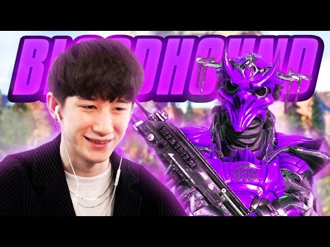 I tried bloodhound for a day