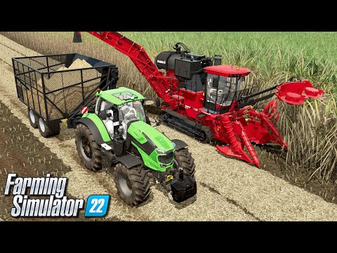 Koszenie trzciny cukrowej – Farming Simulator 22 | #43