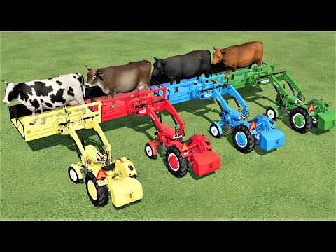 MINI TRACTORS OF COLORS ! HUGE COWS TRANSPORTING with FRONT LOADERS  ! Farming Simulator 22