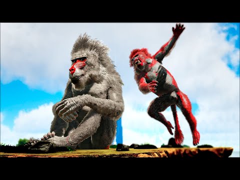 NÃO Queira Ter a Vida Desse Macaco! A Mãe o Rejeitou | Ark Survival Evolved
