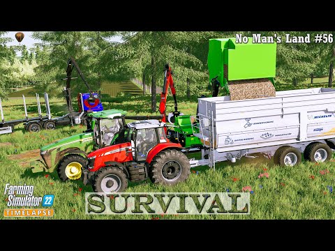 Survival in No Man's Land #56🔸Buying New Equipment. Rolling a Corn Field. Cutting Down Trees🔸FS22🔸4K