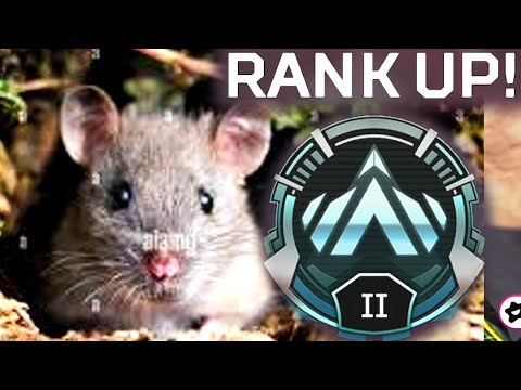 The PLAT RAT | Apex Legends