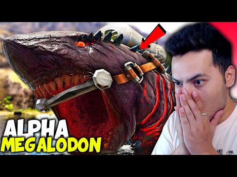 This Alpha Megalodons Are Chasing Me – Ark Survival Evolved – PART 66 (HINDI) 2022