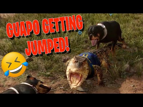 WE SLIDING ON EVERYBODY FOR CARLOS! [ FAR CRY 6 #10] | Game Action