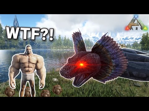 When You Play Ark For The First Time | Ark Memes