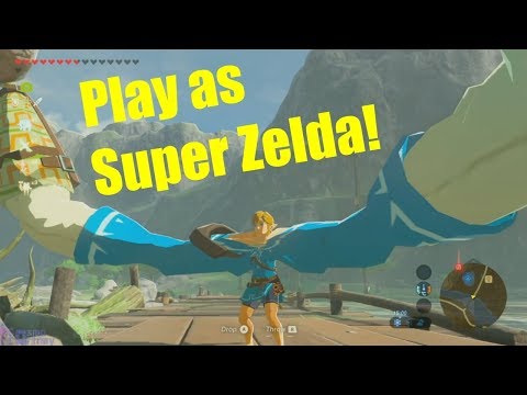 Zelda's Secret Cheat Code