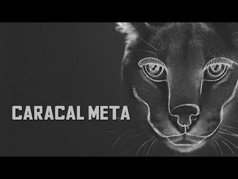 1V1 T1 CRUISERS | "CARACAL META" | EVE Online PVP