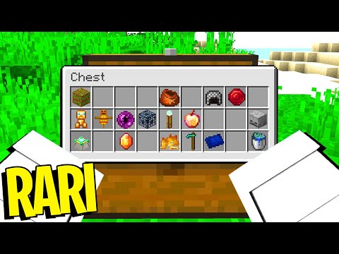 CERCO GLI OGGETTI PIÙ RARI DI MINECRAFT – MINECRAFT ITA